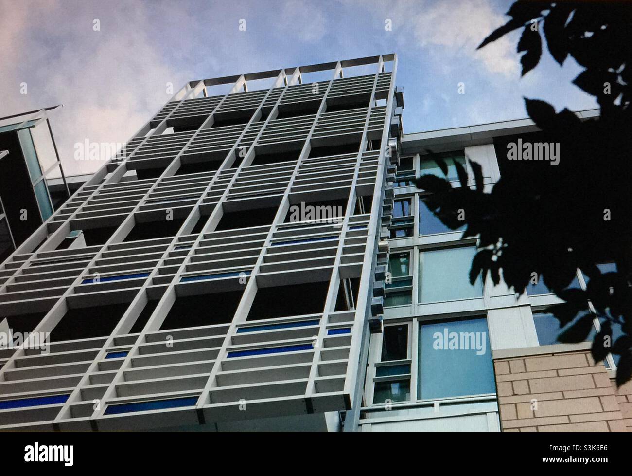 Street photography, Kensington, Calgary, Alberta , 10 street, guitar, apartment, condo, high rise, parallel, converging, squares - Smartphone Captured Stock Image