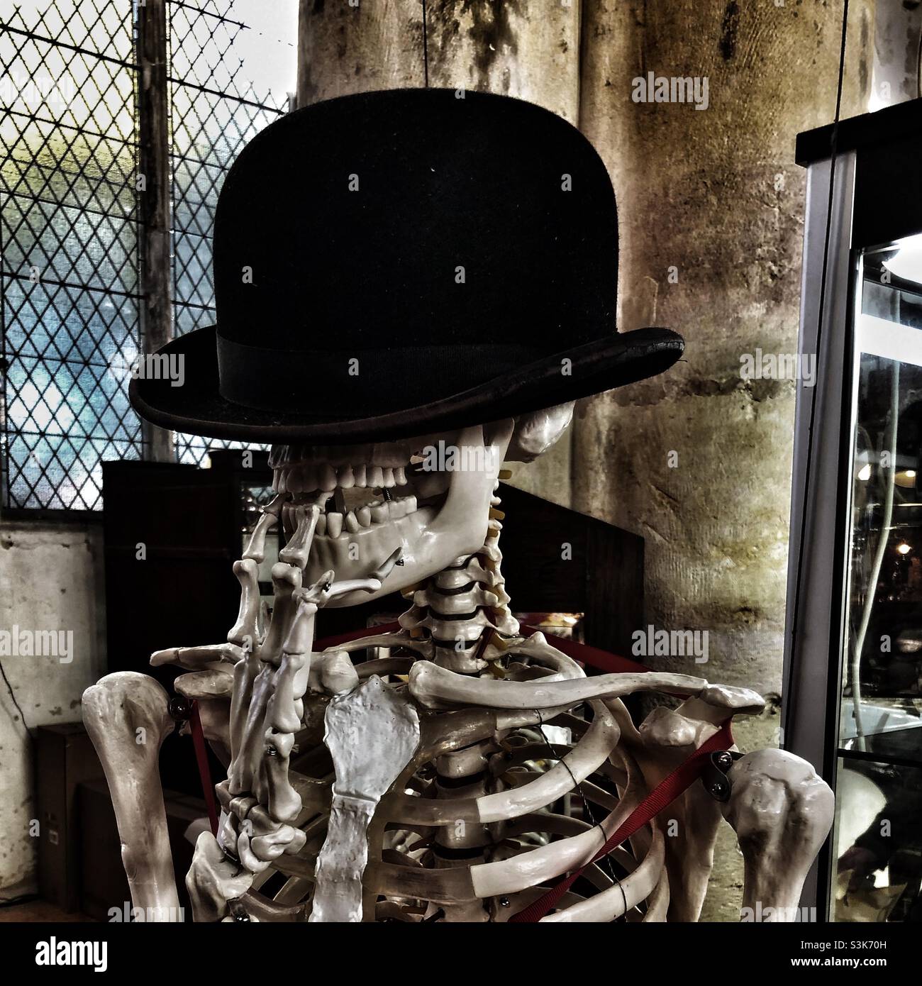 Halloween decorations: Skeleton in a Black Hat Stock Photo