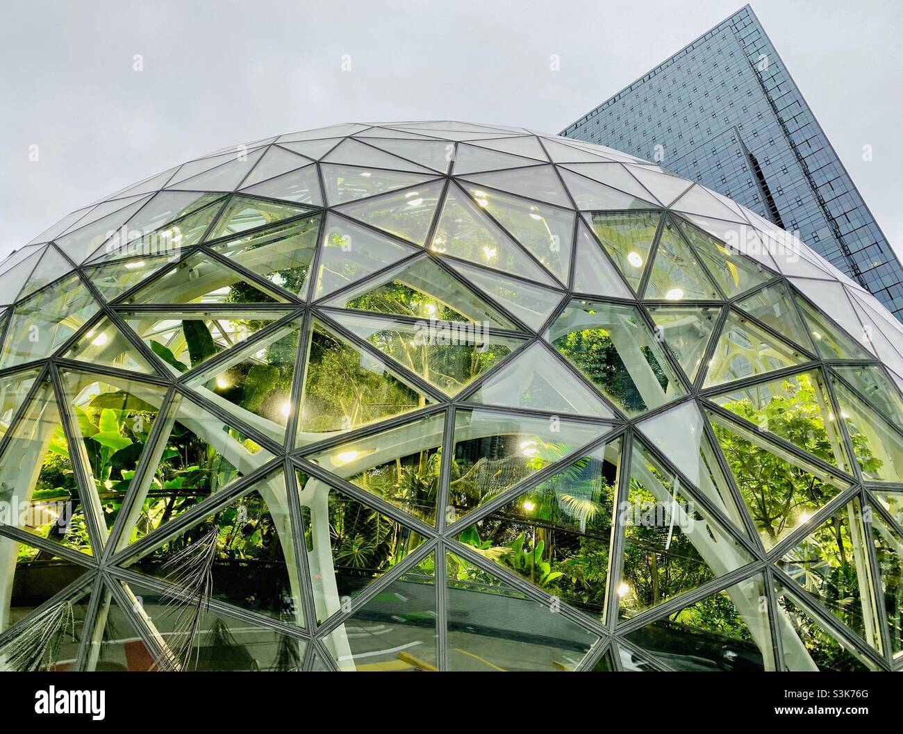 One of the three domes that comprise the Spheres conservatory in the