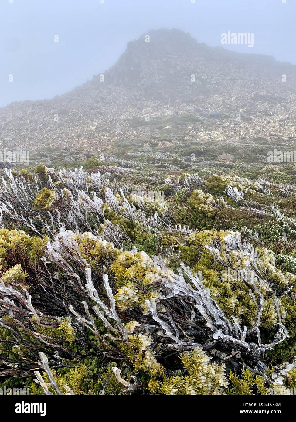 Frost in the Hartz Mountains, Hartz Mountains National Park Stock Photo