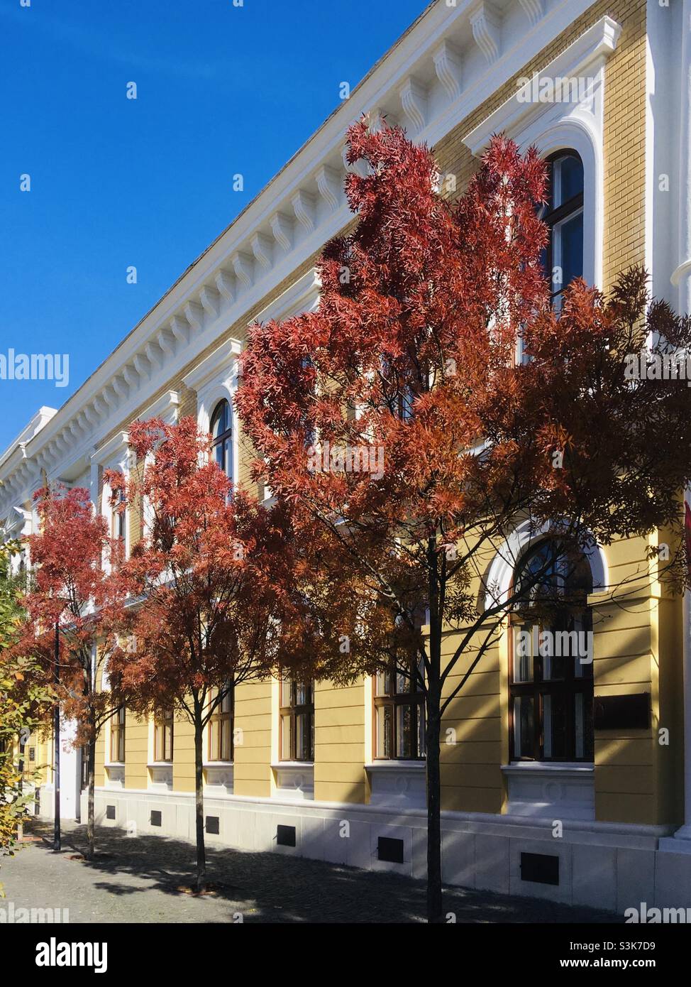 Colourful trees in front of 19th century building facade in autumn, Sopron, Hungary Stock Photo