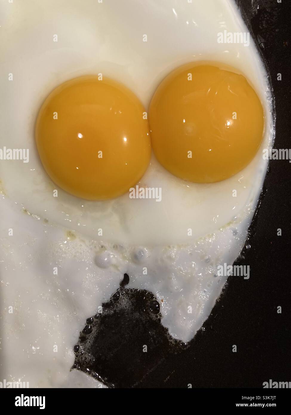 Double yolk egg from backyard chicken Stock Photo Alamy