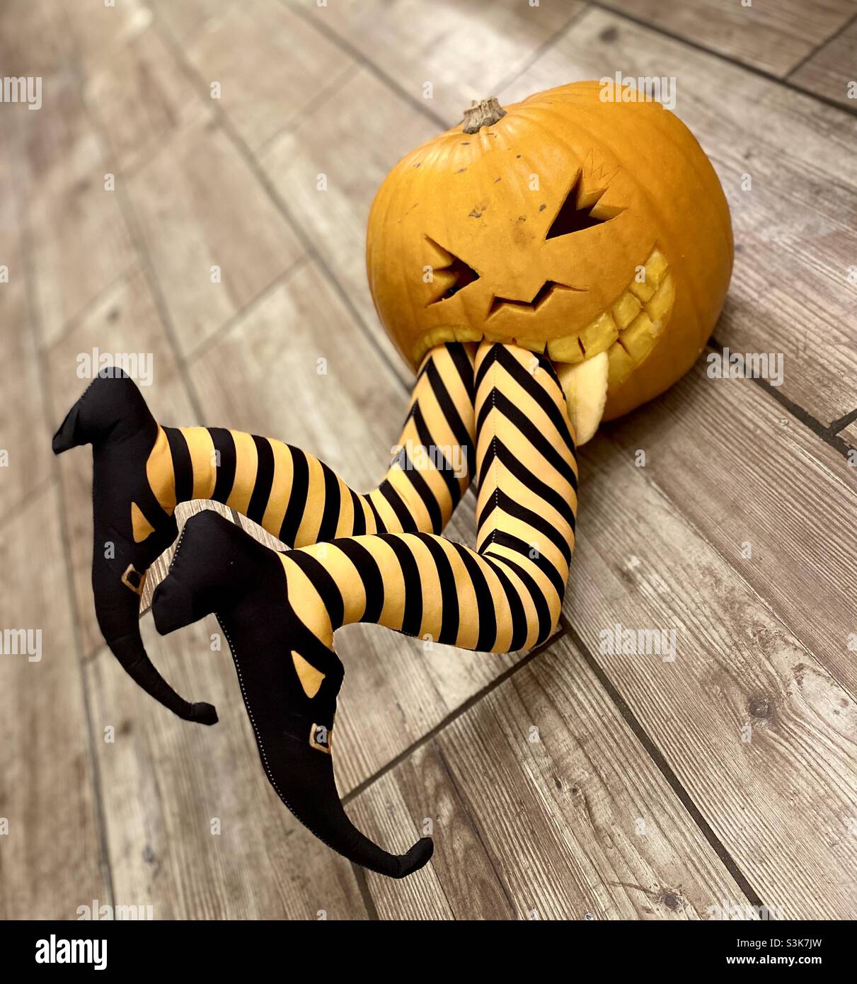 Happy Halloween.. pumpkins and witches Stock Photo