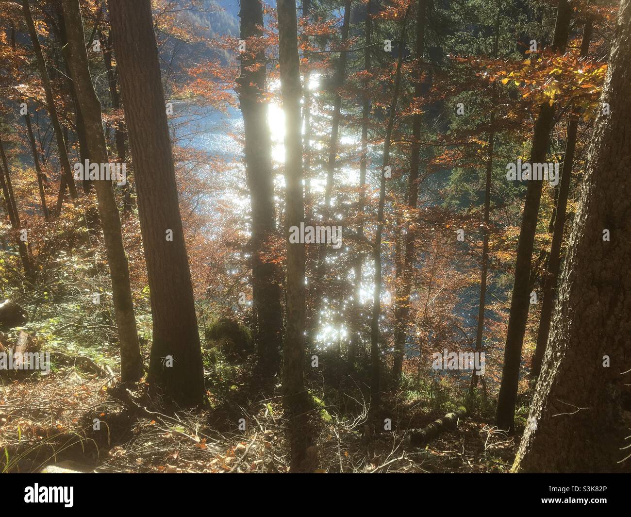 Blick auf Königssee, Sonne spiegelt sich im Königssee,Herbst Stock Photo