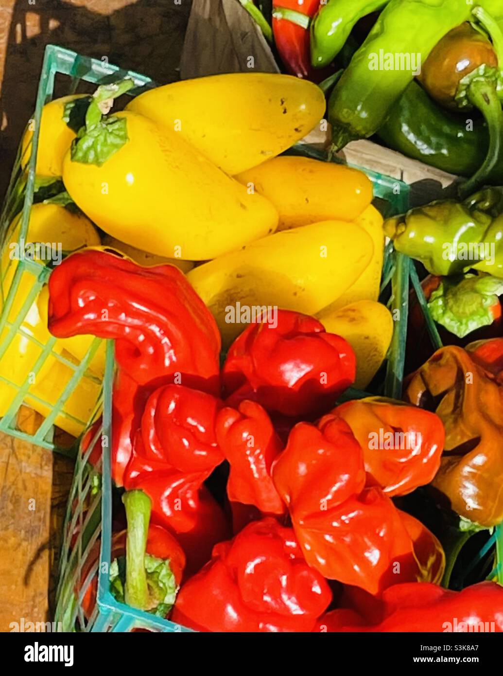 Various colors of peppers - Smartphone Captured Stock Image