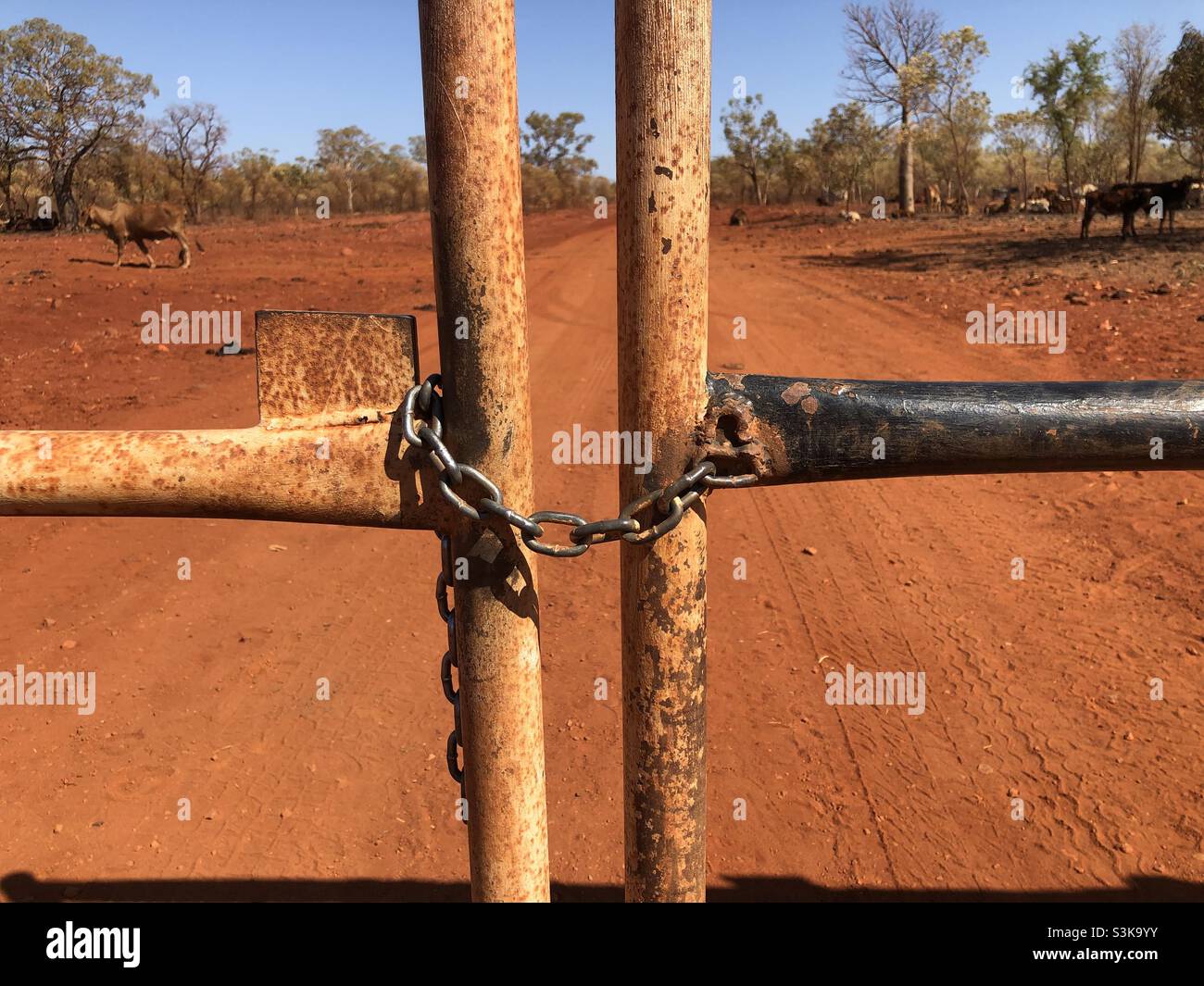 A chain locked around two gates in the outback - Smartphone Captured Stock Image