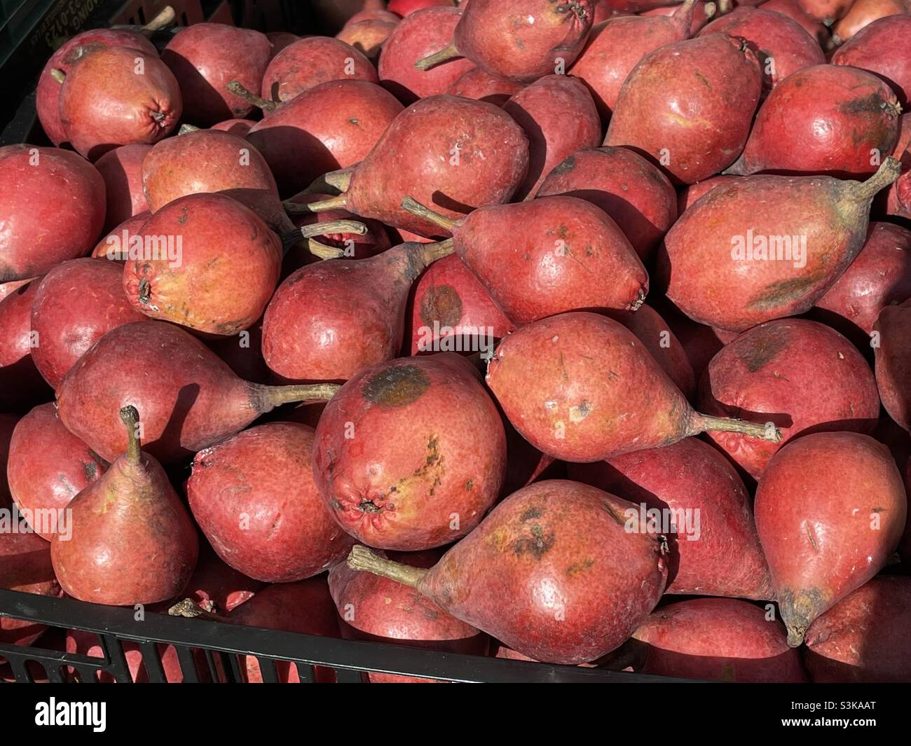 Red pears in a basket - Smartphone Captured Stock Image