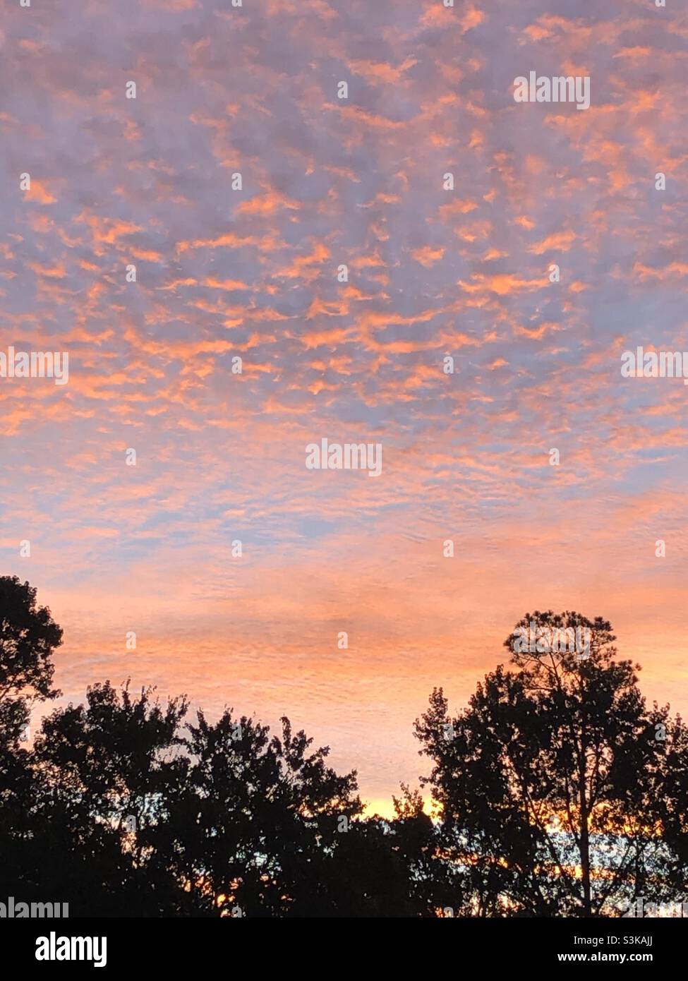 Beautiful Sunrise in North Florida Stock Photo