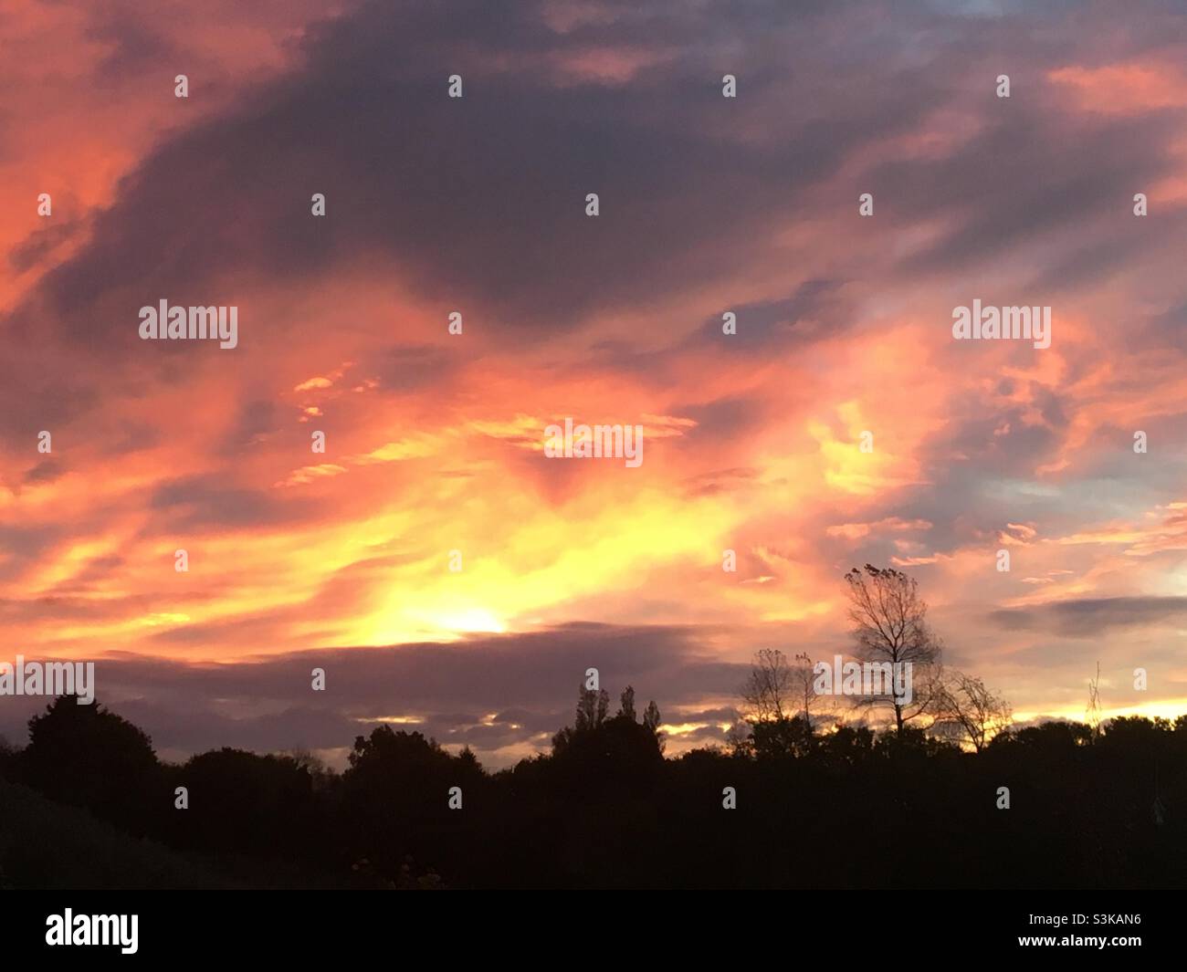 Sunrise, golden, fire, flame, awe, sky, land, nature, dramatic, trees - Smartphone Captured Stock Image