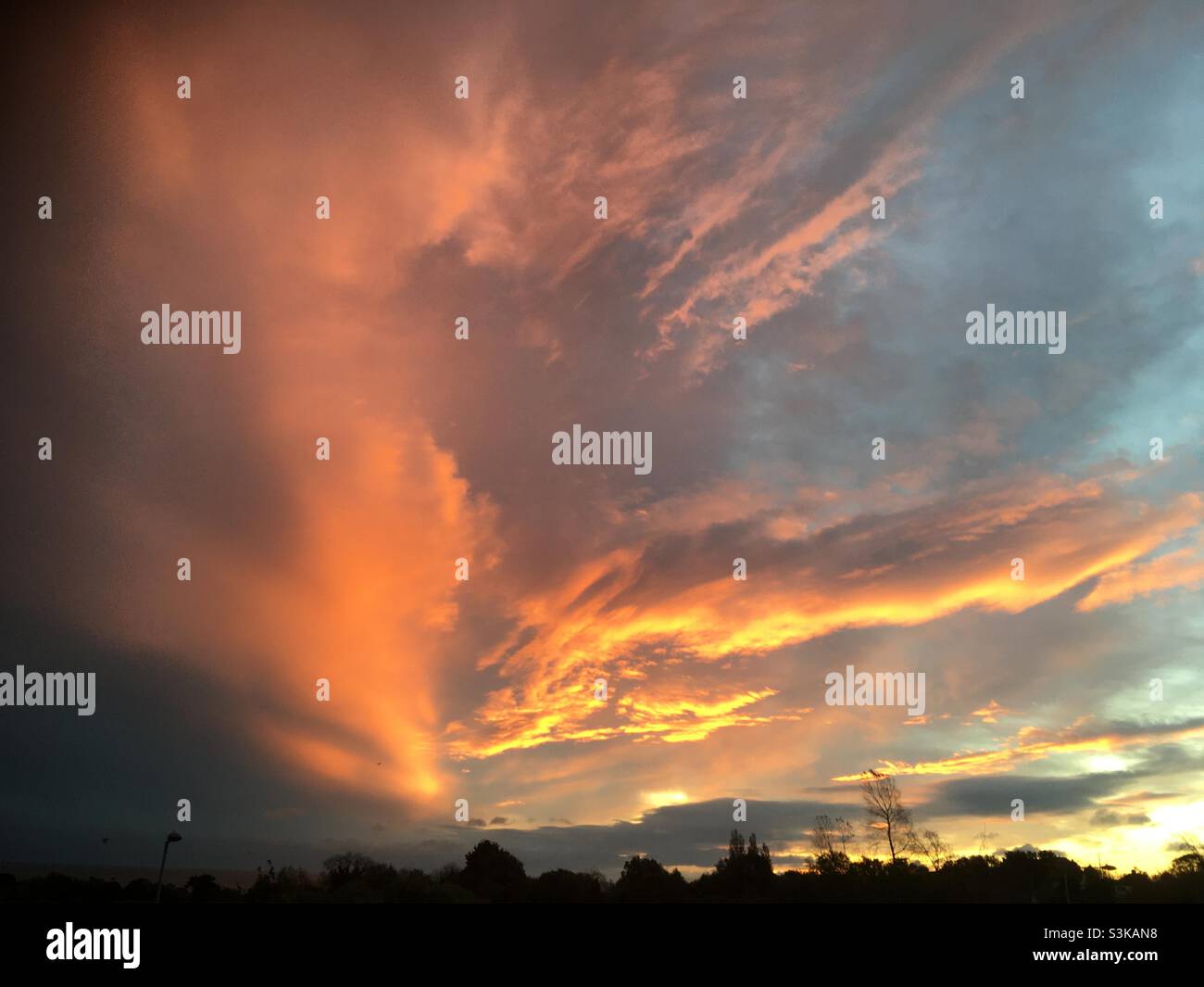 Sunrise, golden, fire, flame, awe, sky, land, nature, dramatic, trees - Smartphone Captured Stock Image