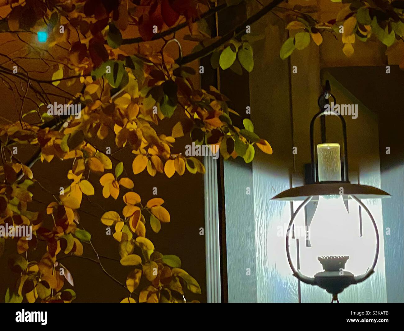 Fall leaves are illuminated at dusk by a lantern style light at Gardner Village, Utah, USA during its’ annual “Witchfest”, held in October, when fall color accents the already festive ambiance. - Smartphone Captured Stock Image