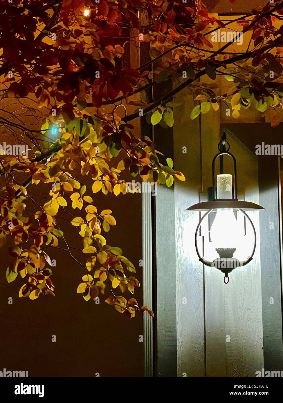 Fall leaves are illuminated at dusk by a lantern style light at Gardner Village, Utah, USA during its’ annual “WitchFest”, held in October, when fall color accents the already festive ambiance. - Smartphone Captured Stock Image