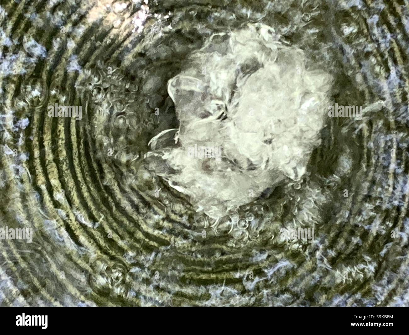 This abstract was created by shooting directly over a small fountain at a Garden Shop in Salt Lake City, Utah, USA. - Smartphone Captured Stock Image