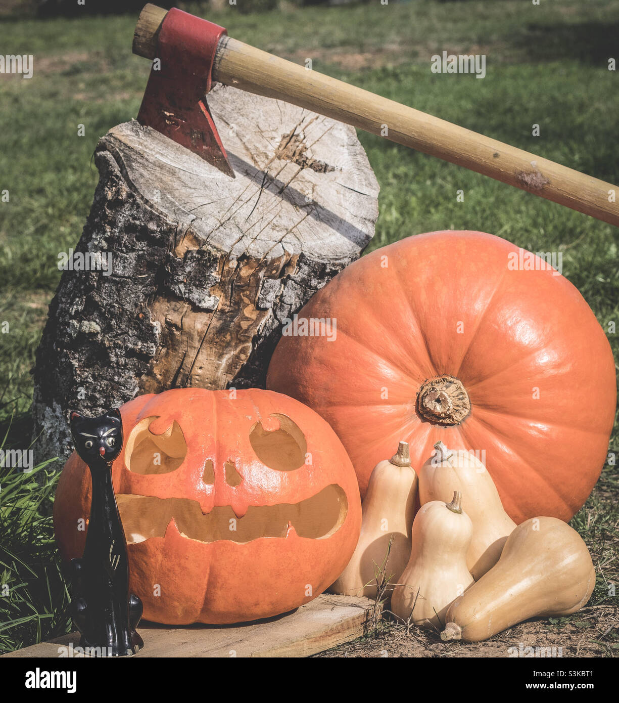 Halloween themed display with pumpkins, squash and a ceramic black cat. There is an ax in a wood log behind. - Smartphone Captured Stock Image