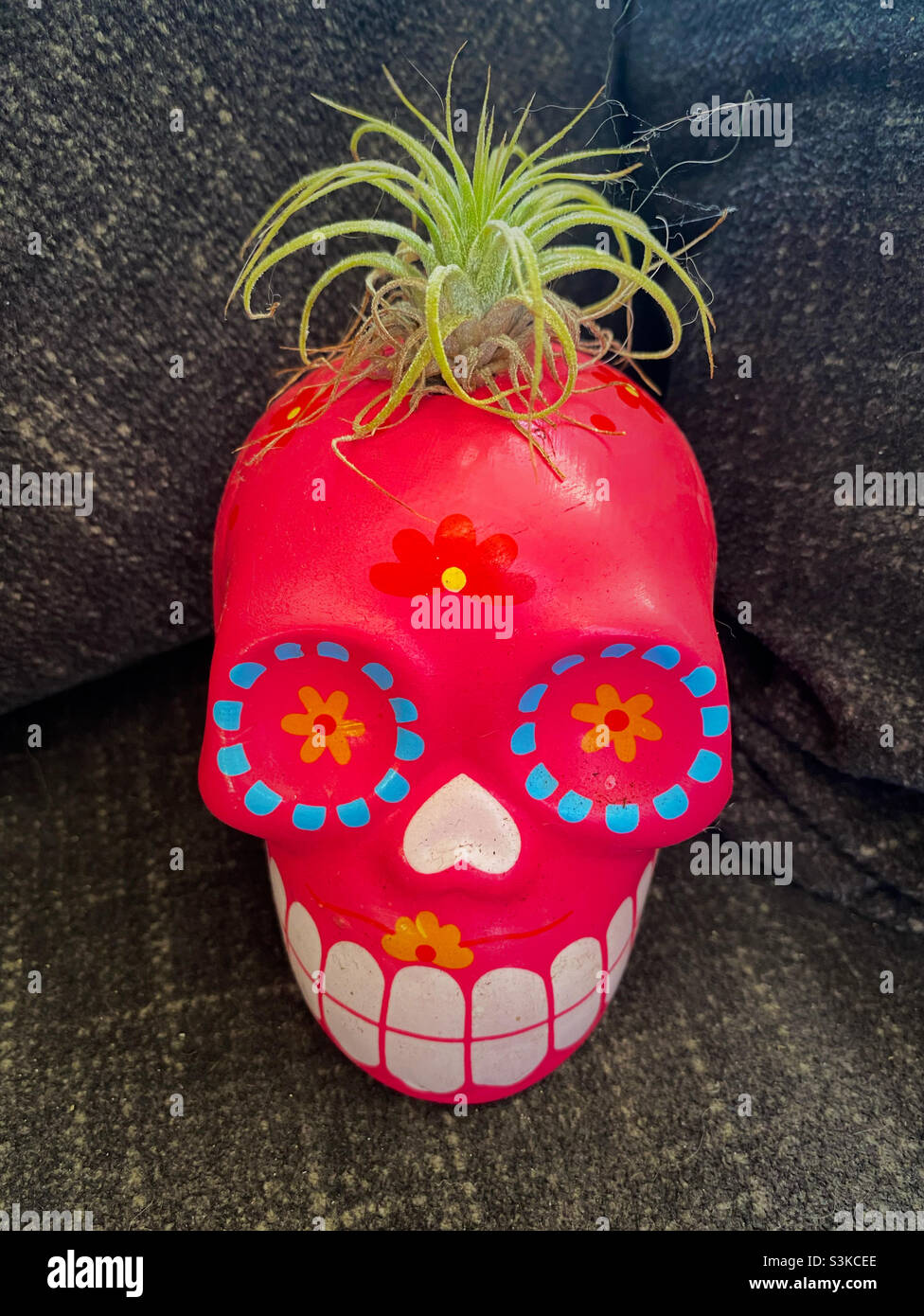 Pink Day of the Dead figurine - Smartphone Captured Stock Image