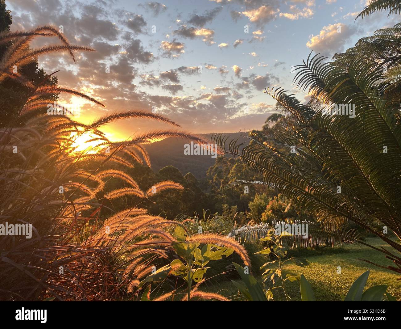 Gold Coast hinterland Stock Photo Alamy