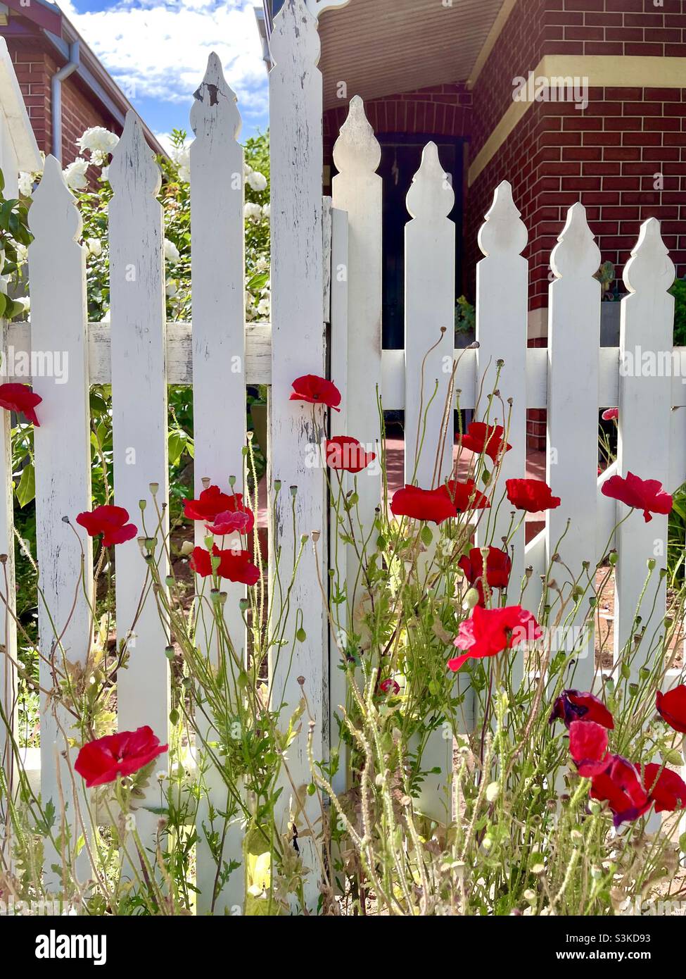Wooden picket fence hi-res stock photography and images - Alamy