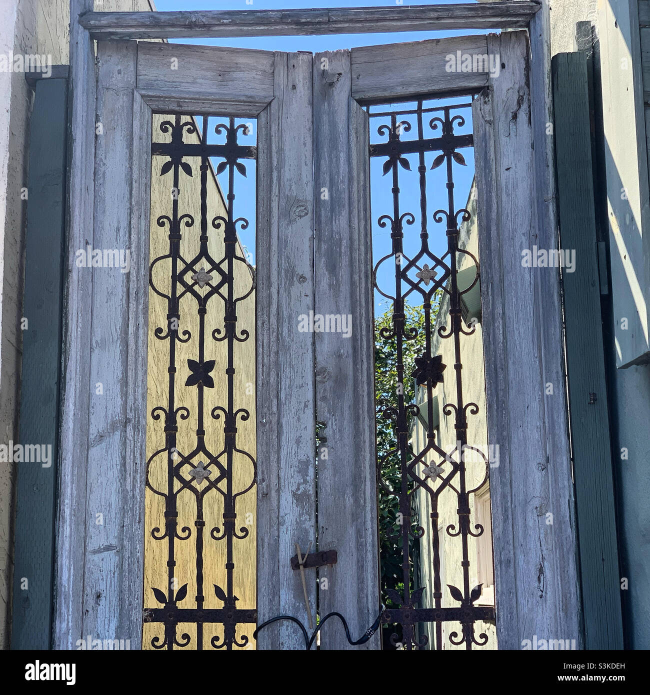 A door in Encinitas, San Diego County, California, United States, North America - Smartphone Captured Stock Image