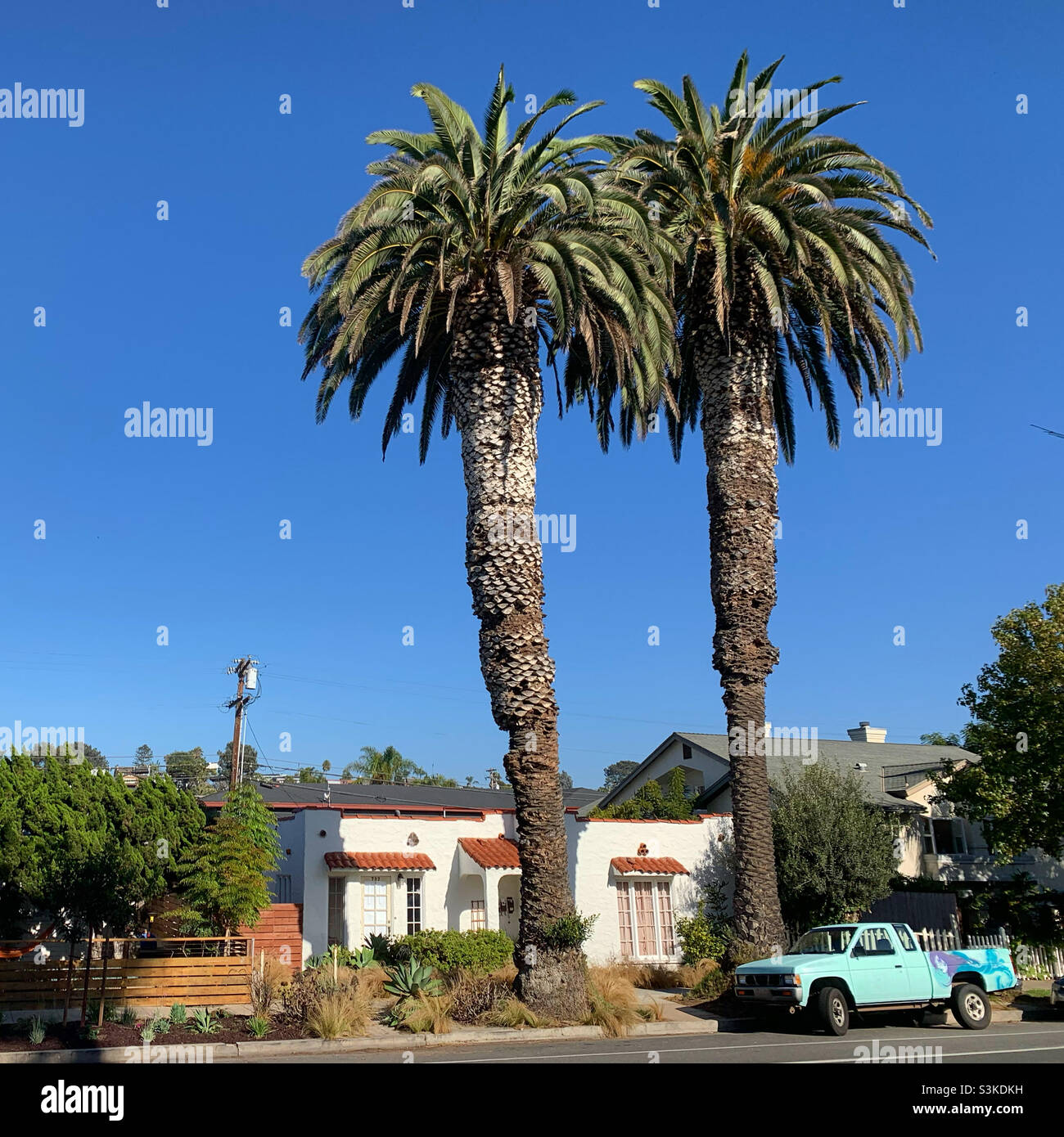 September, 2021, tall palm trees dwarf a house and truck, Encinitas, San Diego County, California, United States, North America - Smartphone Captured Stock Image