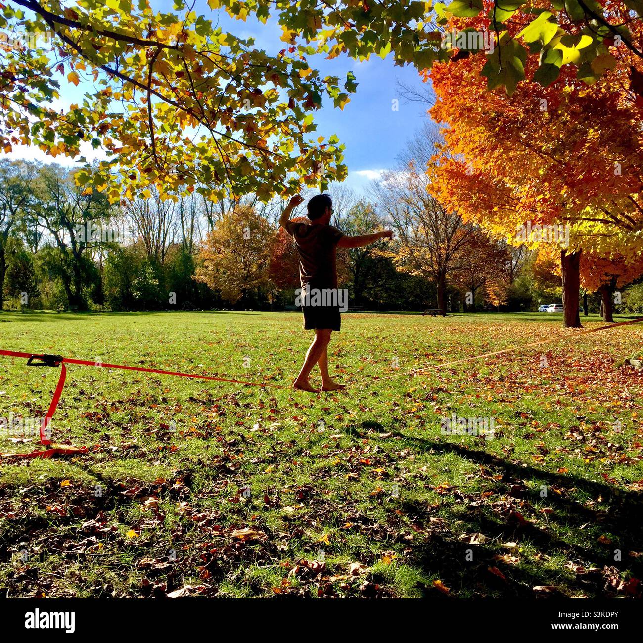 Balancing act in the park. Lovely autumn afternoon. A tightrope walker practising. Ontario, Canada. - Smartphone Captured Stock Image