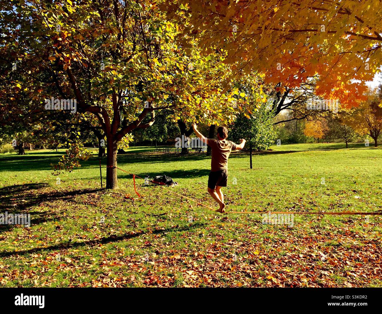 Balancing act in a park, lovely fall afternoon, Ontario, Canada. A tightrope walker practising. - Smartphone Captured Stock Image