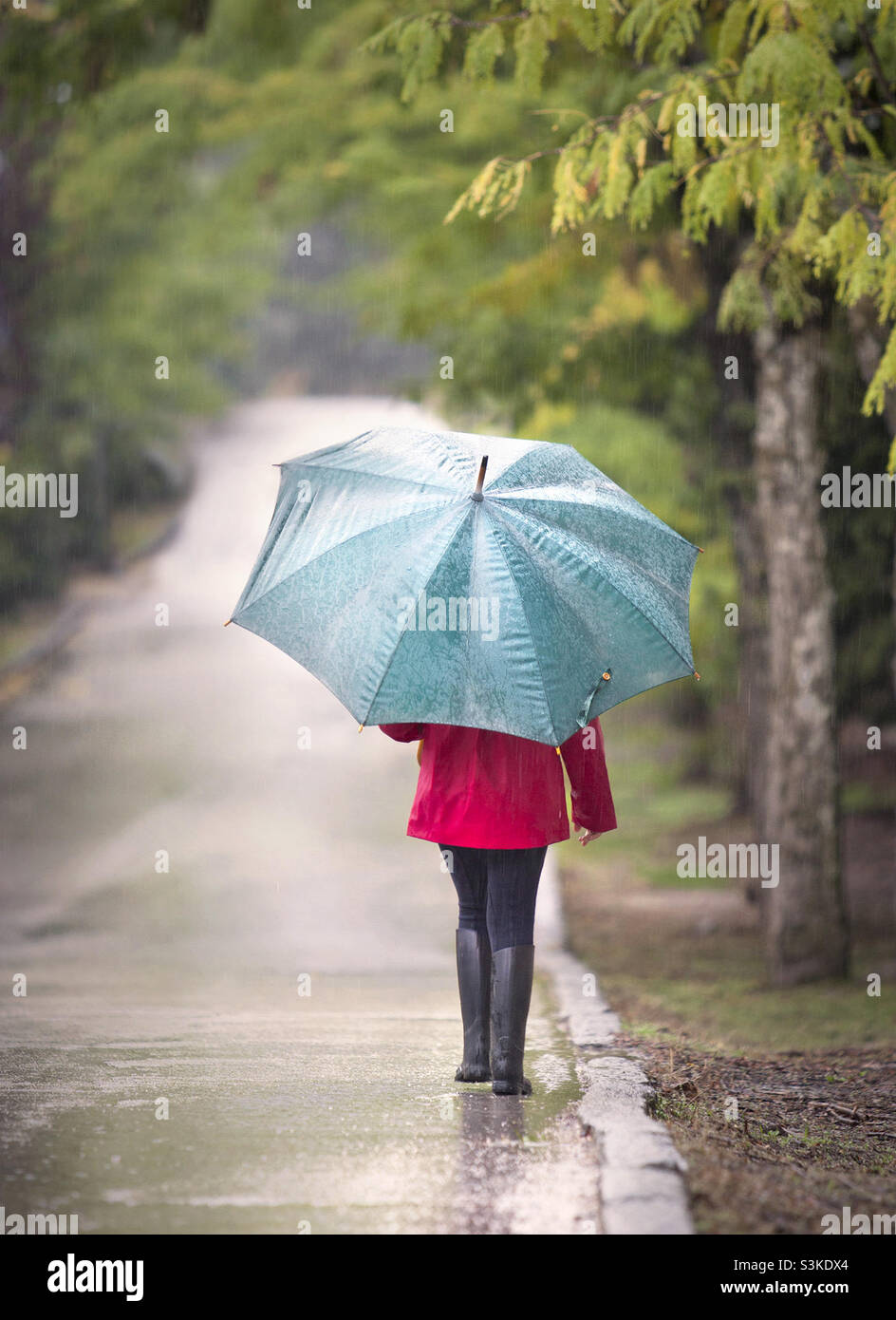 Girl with an umbrella in a fall rainy day Stock Photo
