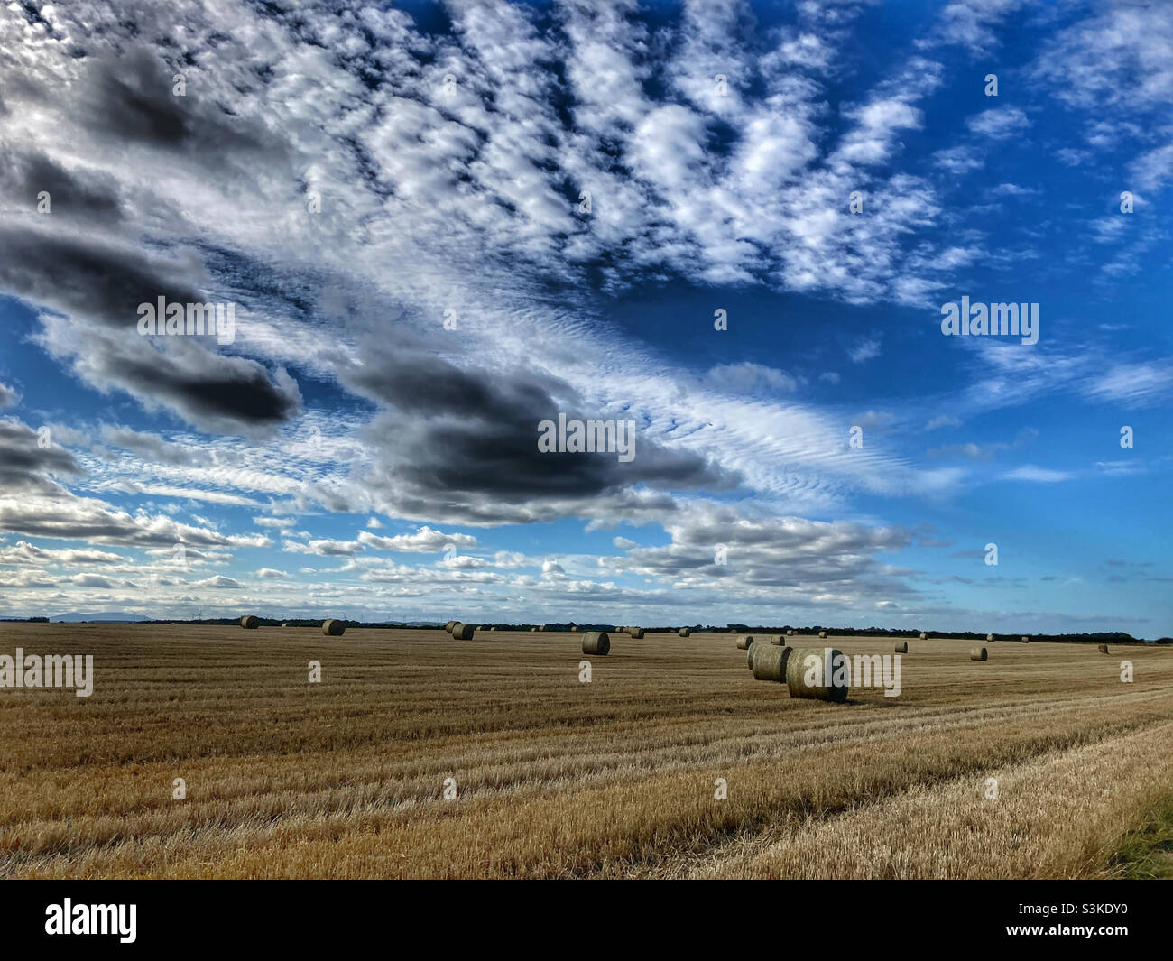 Hay bales in a field at Dunstan Steads Northumberland - Smartphone Captured Stock Image