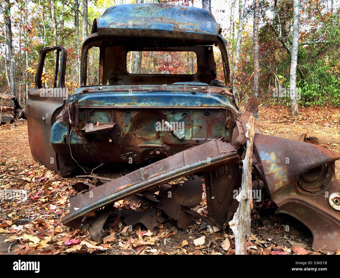 Vehicle in the woods hi-res stock photography and images - Alamy
