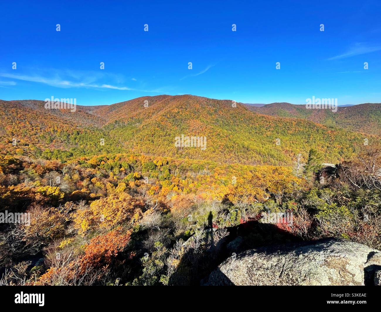 Fall colors in Shenandoah National Park. Stock Photo