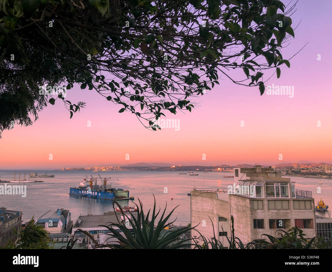 Pink sky - Smartphone Captured Stock Image