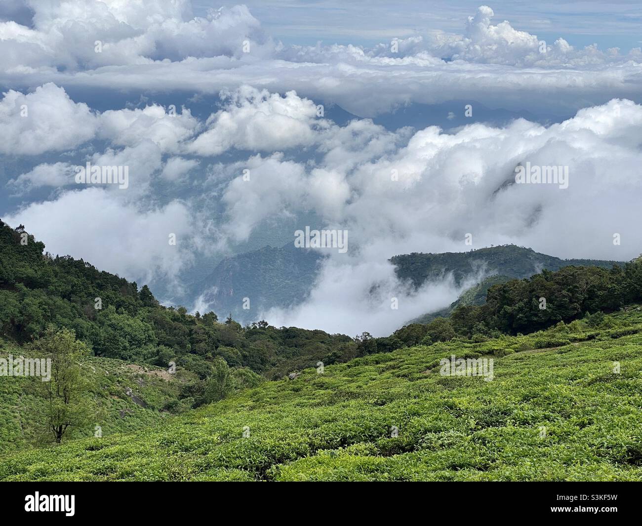 Beautiful landscape with clouds in backdrop. It’s at Kodanand point in Kotagiri near ooty in Tamil Nadu State of India. - Smartphone Captured Stock Image