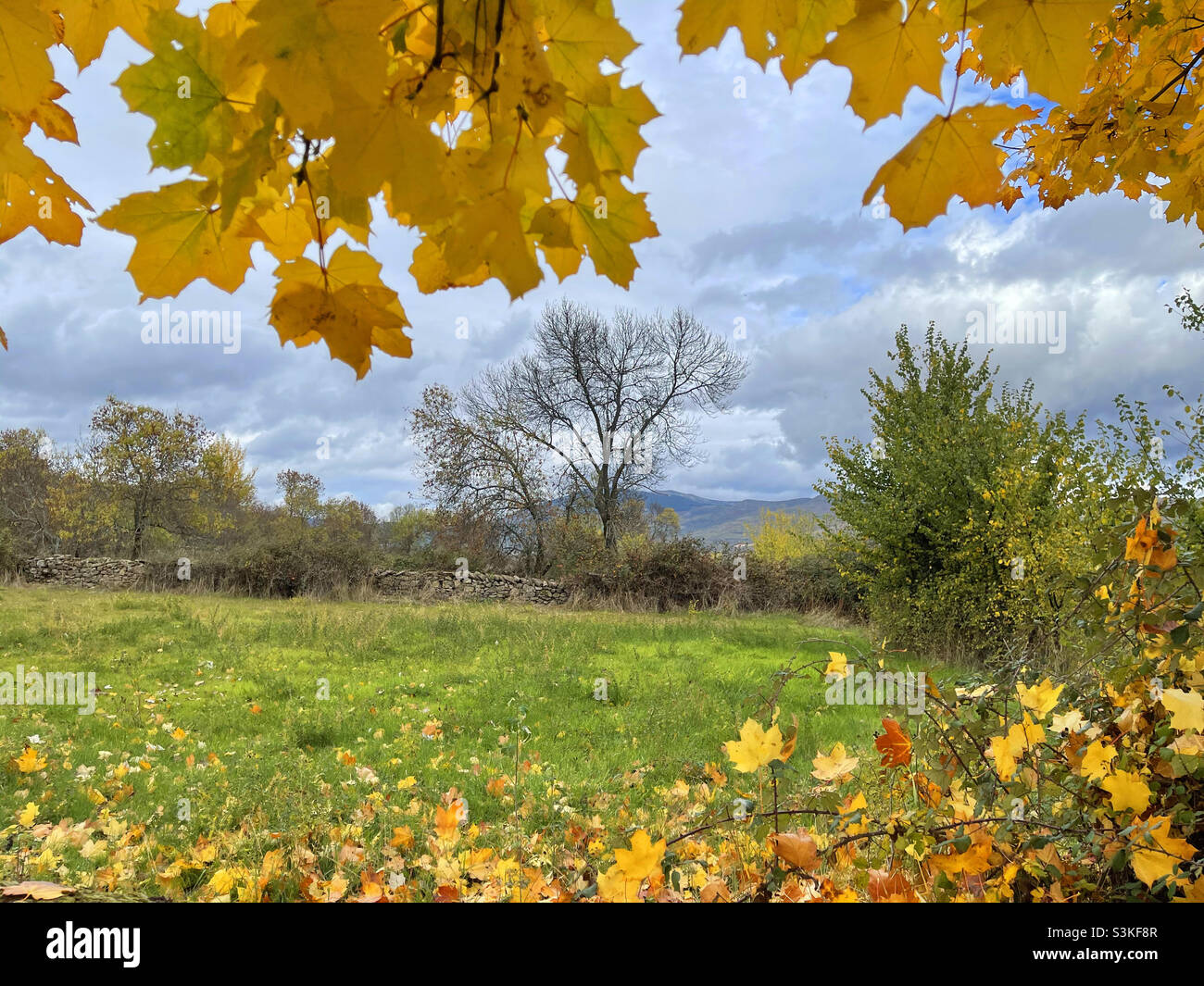 Hojas de paisajes hi-res stock photography and images - Alamy