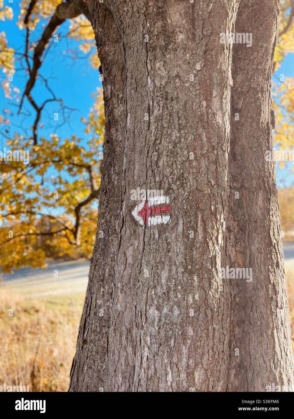 Red arrow - Smartphone Captured Stock Image