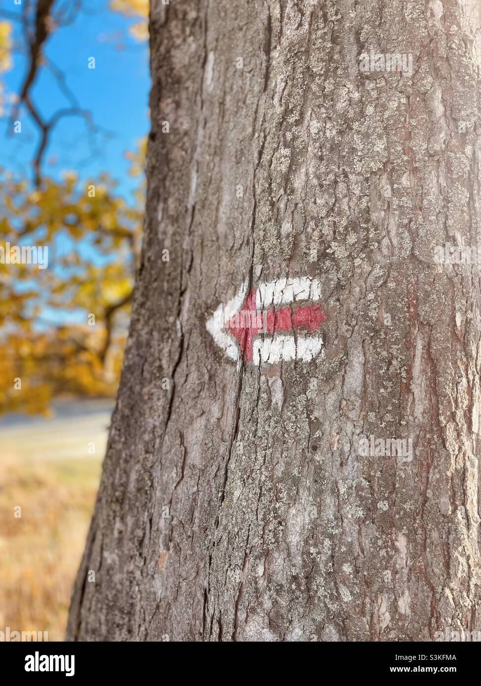 This way - Smartphone Captured Stock Image