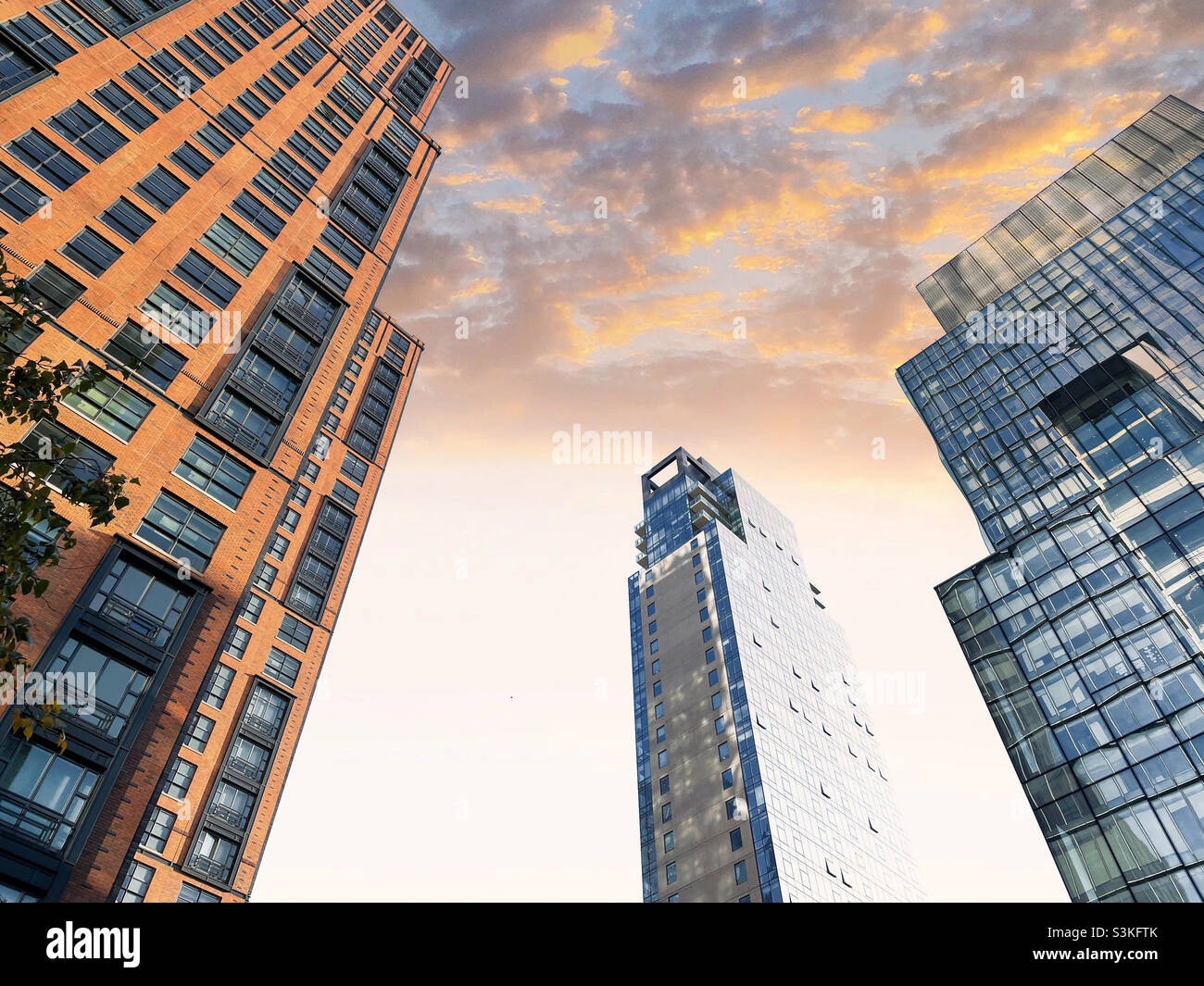 Hudson yards skyscrapers as seen from the high line park, New York City, United States - Smartphone Captured Stock Image