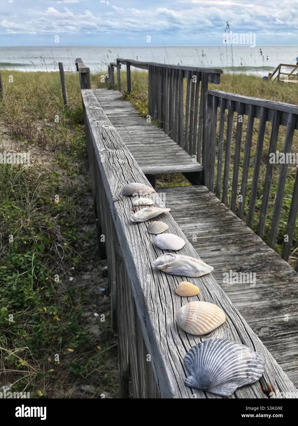 Shell collection on handrail leading to the beach in November - Smartphone Captured Stock Image
