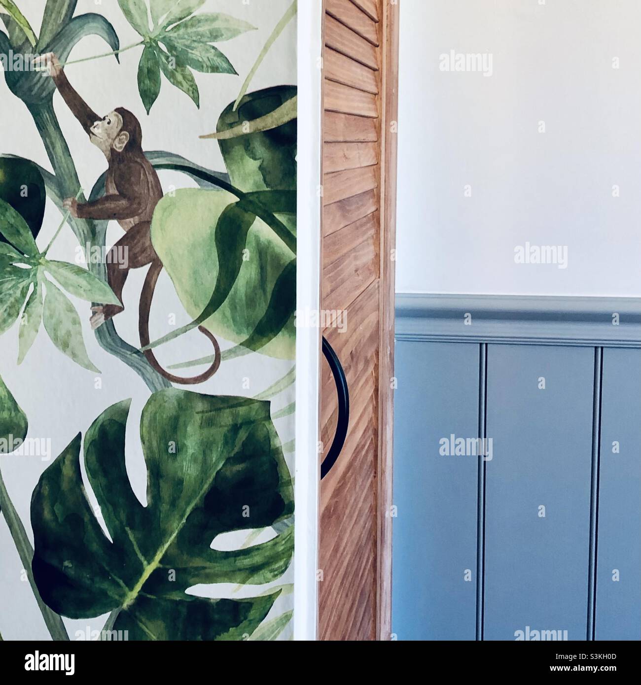 Cheeky monkey wallpaper and classic victorian panelling in a bathroom - Smartphone Captured Stock Image