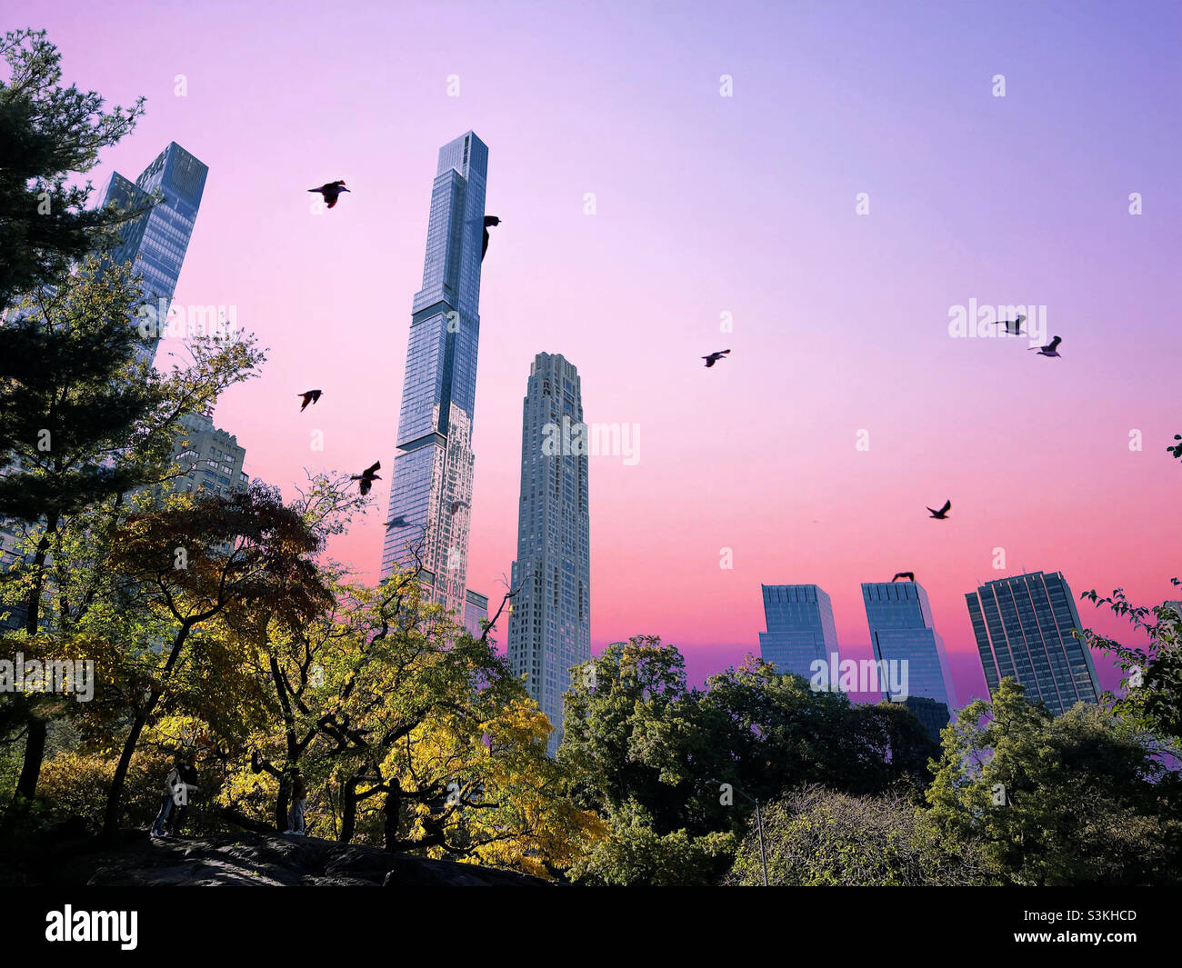 A sunset view of supertall Skyscrapers from central park behind a startled flock of birds, New York City, USA, 2021 - Smartphone Captured Stock Image