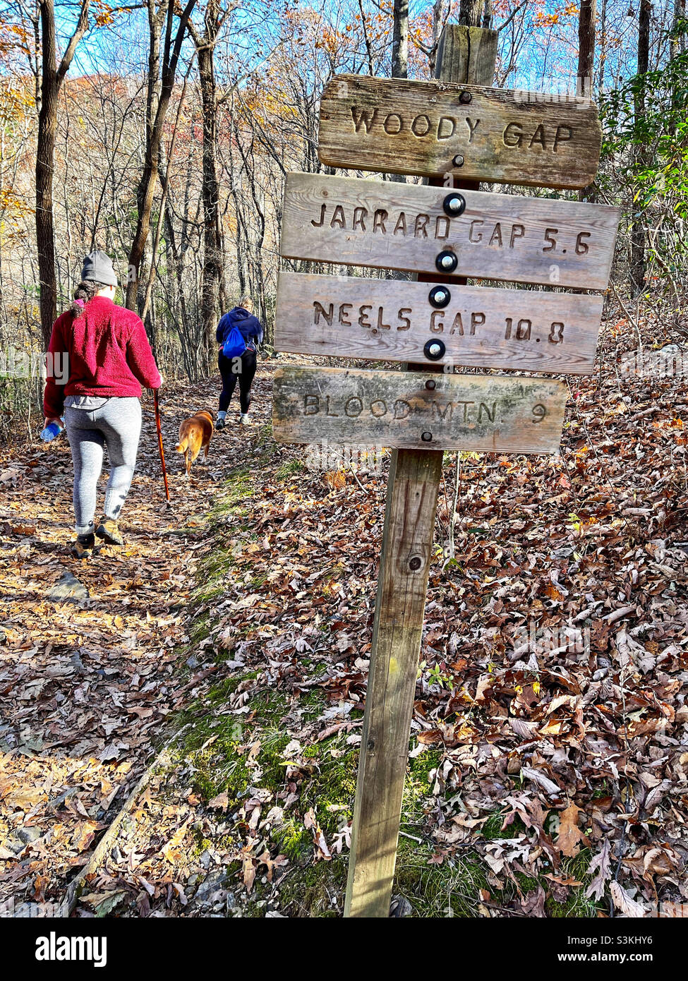Can You Bring A Dog On The Appalachian Trail