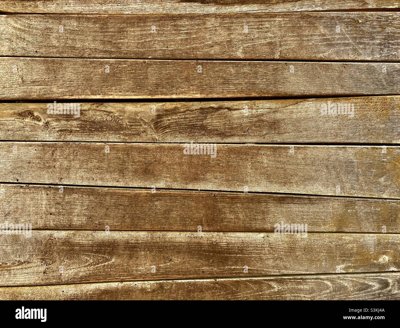 Bright wooden boards to each other as a fence - Smartphone Captured Stock Image