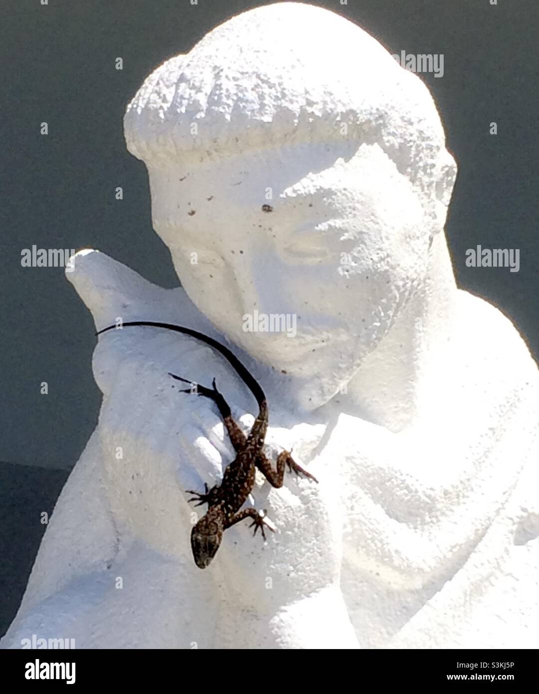 Anole lizard on statue - Smartphone Captured Stock Image