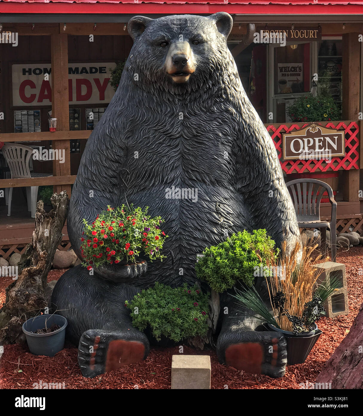 Big black bear sculpture outside a candy store in Waterton Lakes National Park, Alberta, Canada. - Smartphone Captured Stock Image