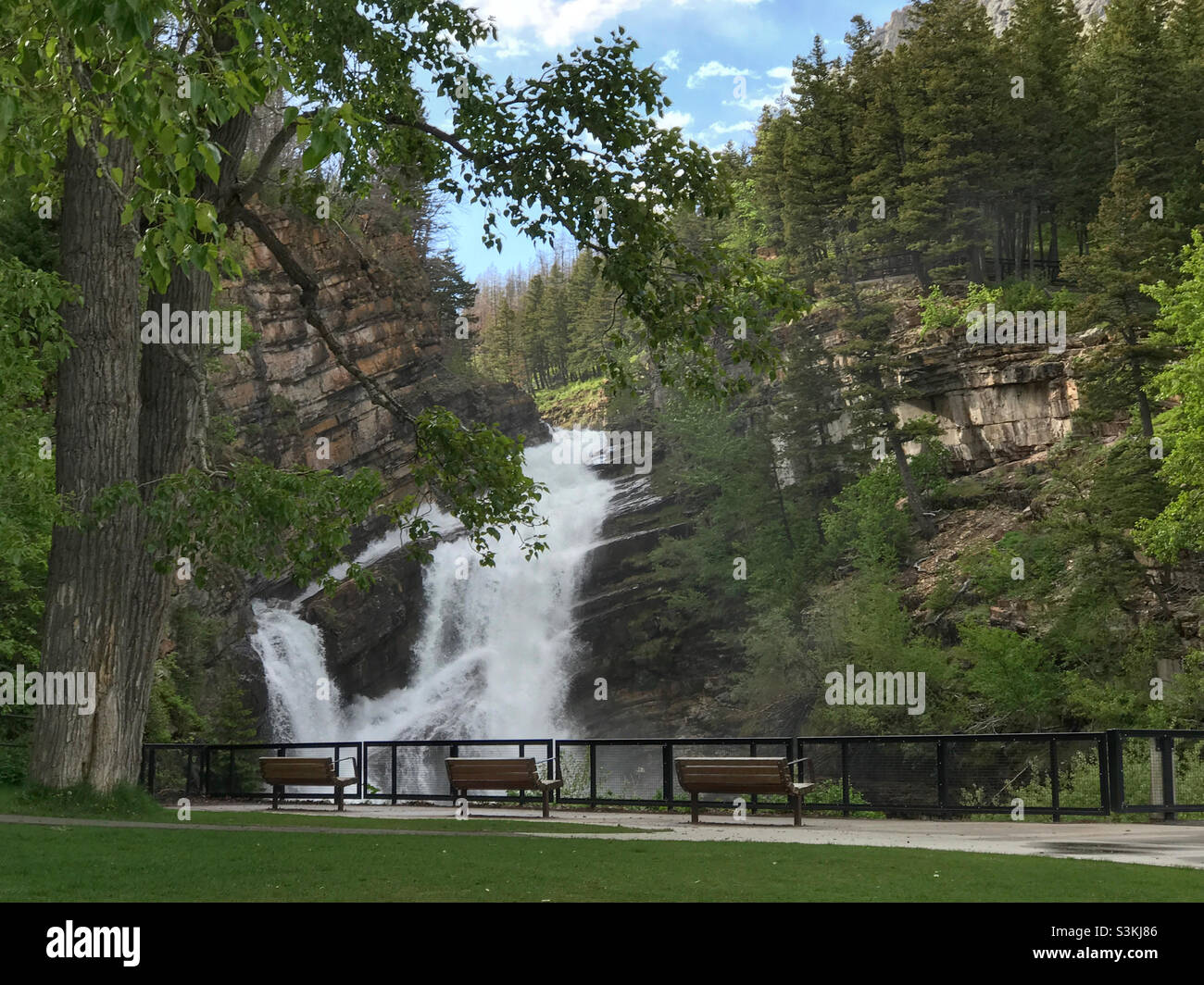 Cameron Falls viewpoint in Waterton Lakes National Park, Alberta, Canada. An example of some of the oldest rock (Pre-Cambrian) visible in the Rocky Mountains. - Smartphone Captured Stock Image