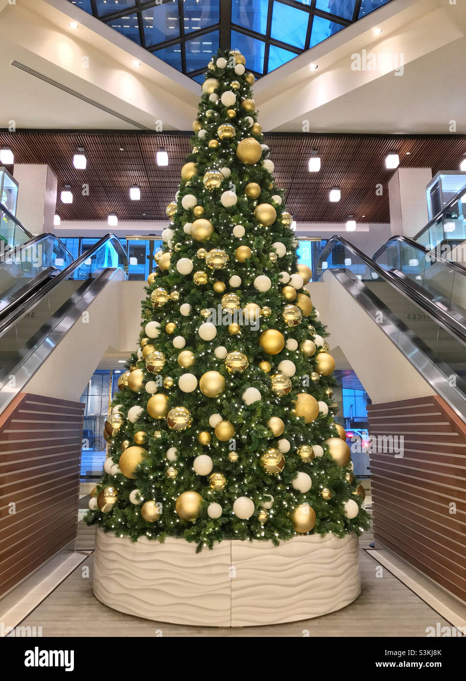 Christmas tree with golden baubles between two elevators in a building lobby. Downtown Calgary