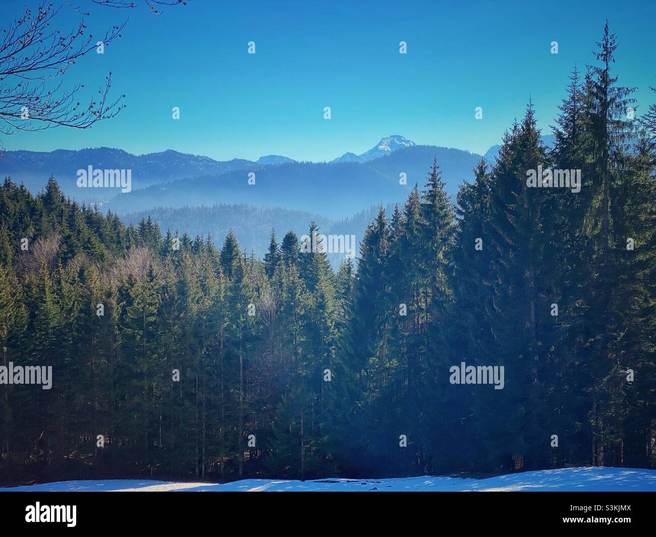 Mountain view with pine trees and melting snow on Brauneck, Germany. Stock Photo