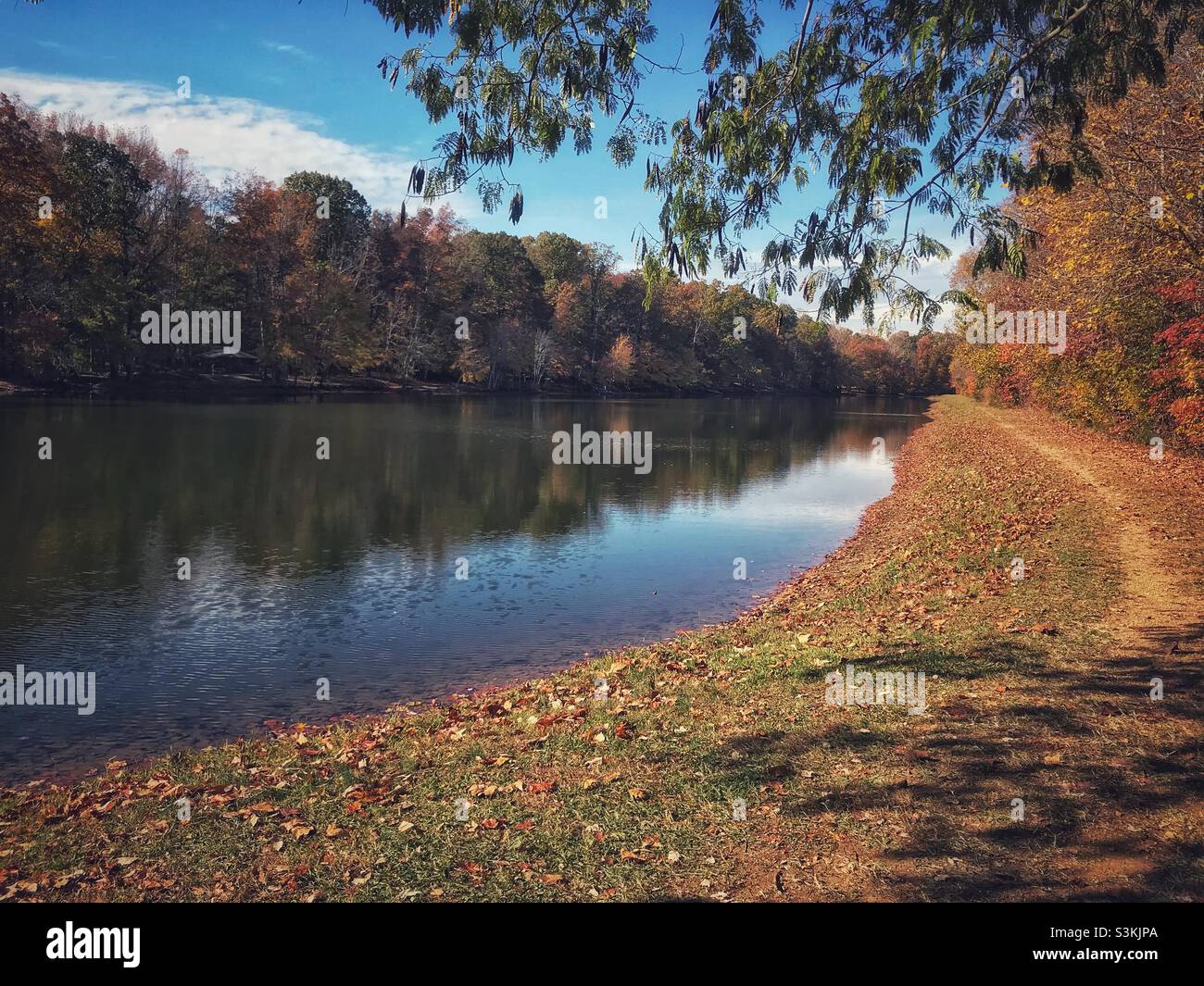 Small lake at North Carolina park in November - Smartphone Captured Stock Image