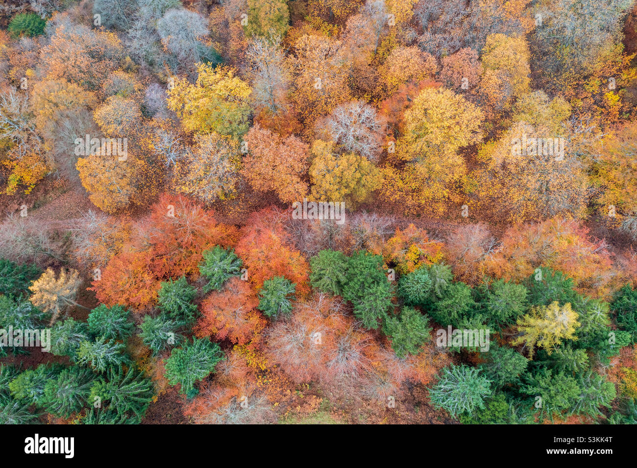 Looking down on autumn - Smartphone Captured Stock Image