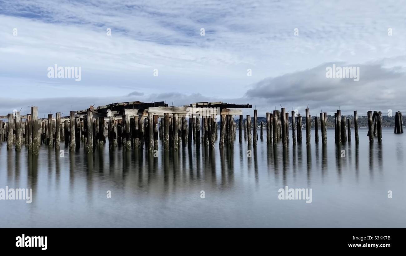Tranquility of nature - Smartphone Captured Stock Image