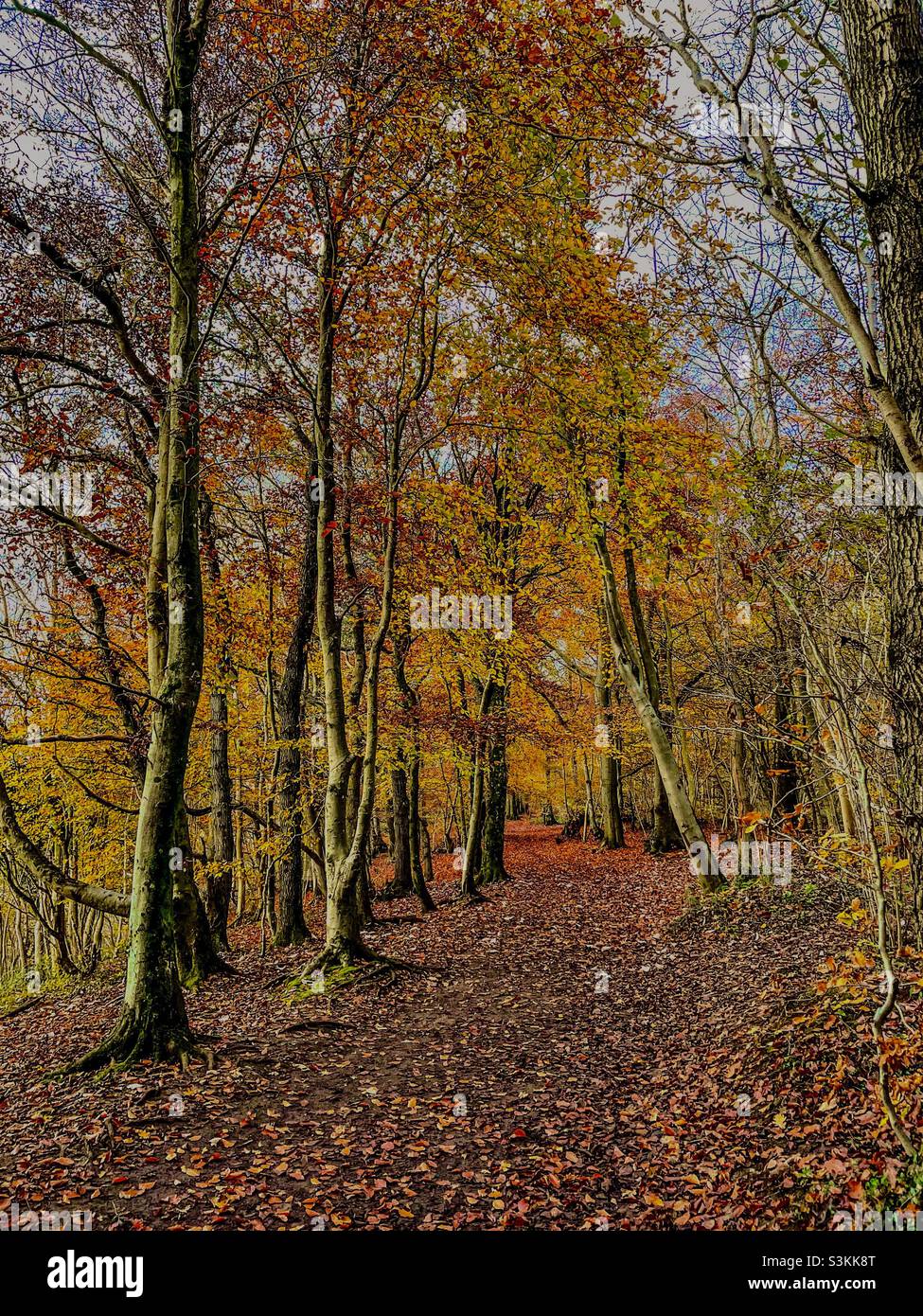 Autumnal Cotswolds Way - Smartphone Captured Stock Image