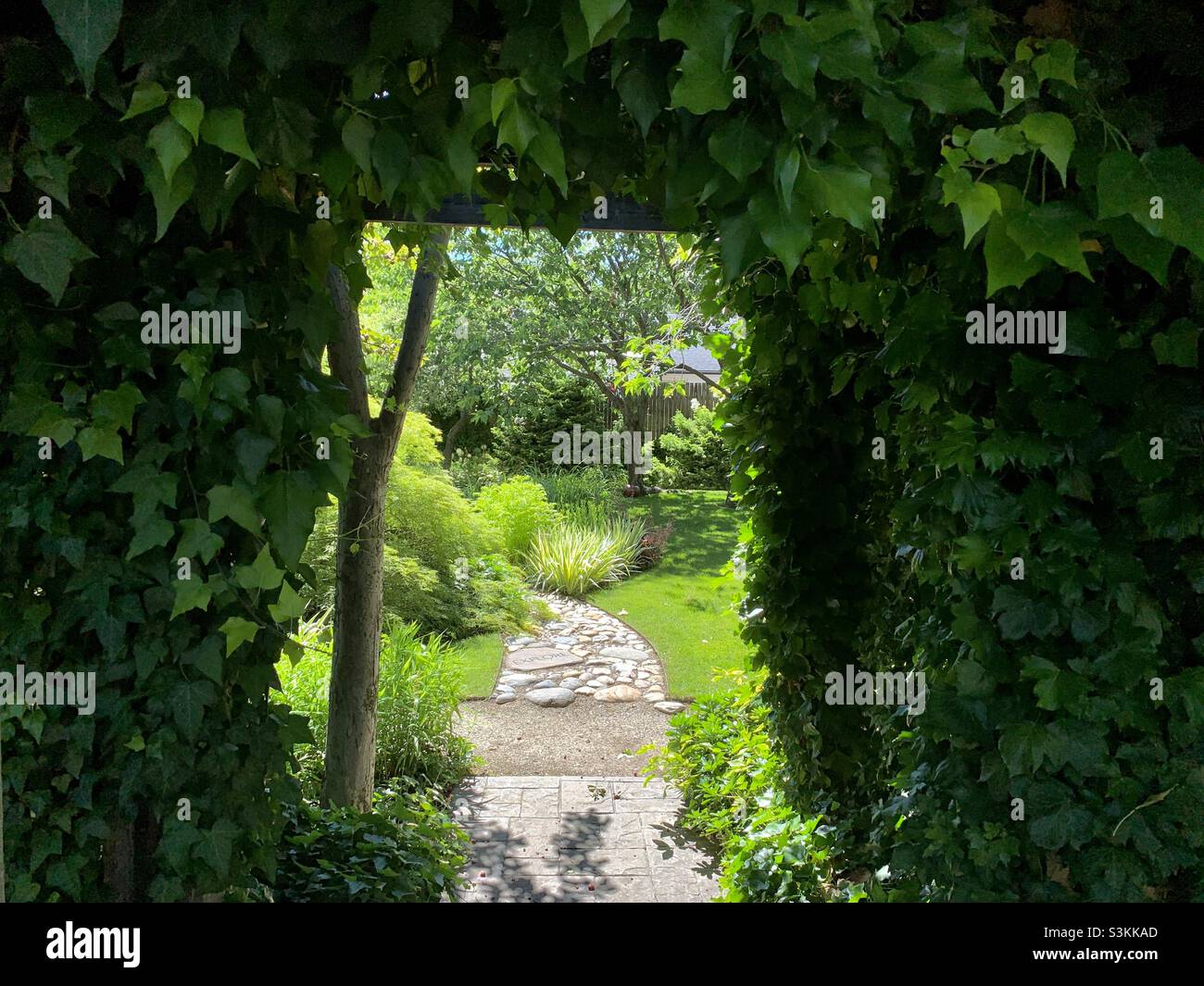 Looking through a short, ivy-covered tunnel out into a beautiful and well landscaped inner garden area at local gardening shop in Salt Lake City, Utah, USA. - Smartphone Captured Stock Image